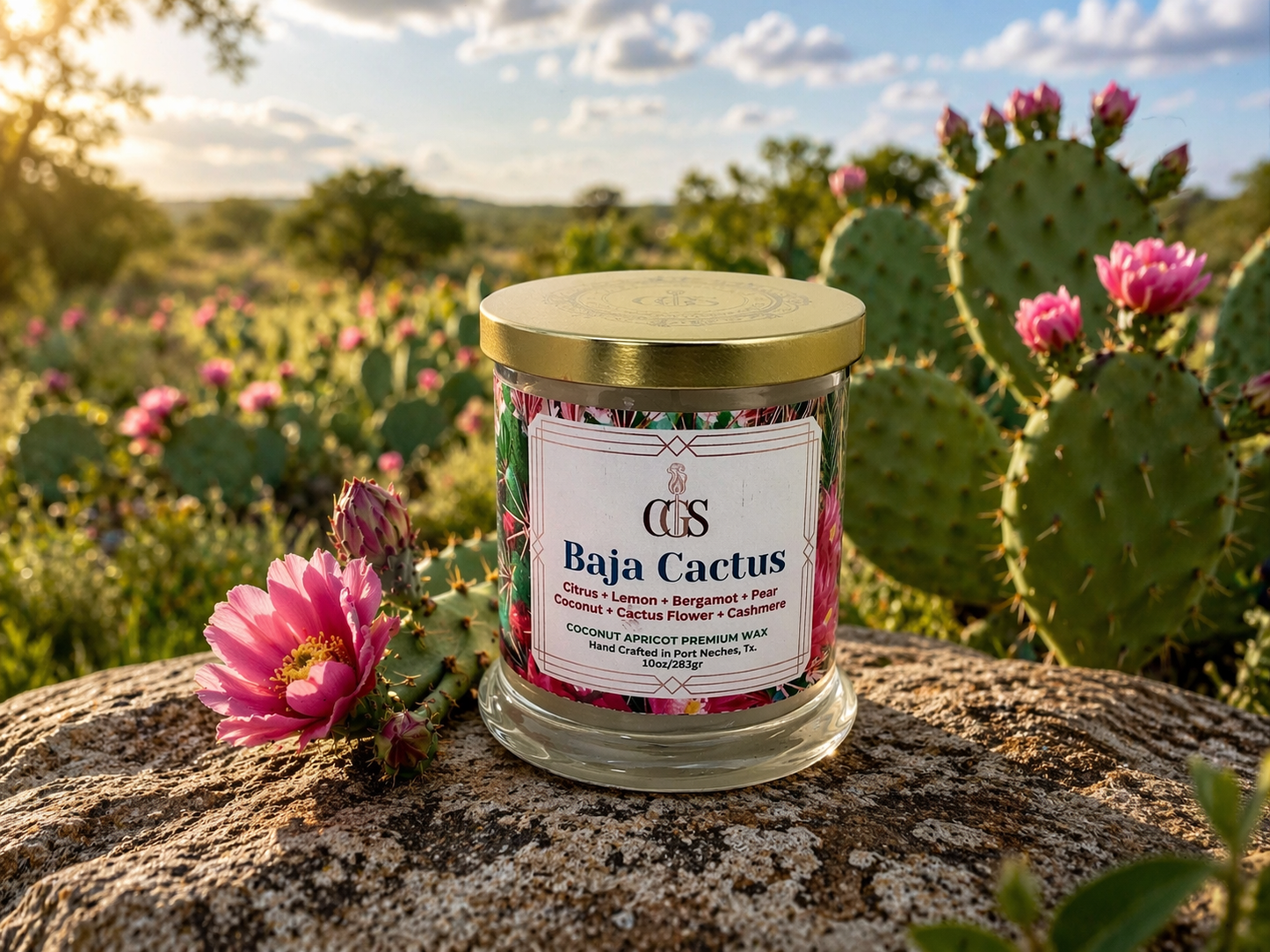 Baja Cactus Artisanal Scented Candle