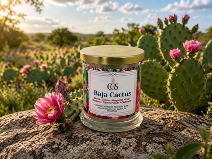 Baja Cactus Artisanal Scented Candle