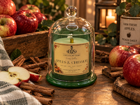 Apples & Cinnamon Fall Favorites